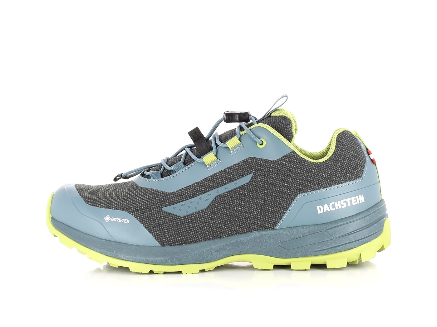 Dachstein Delta Rise 2.0 GTX middle grey Multifunktionsschuhe0002