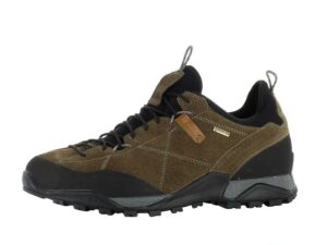 AKU Nativa GTX Frezeitschuhe